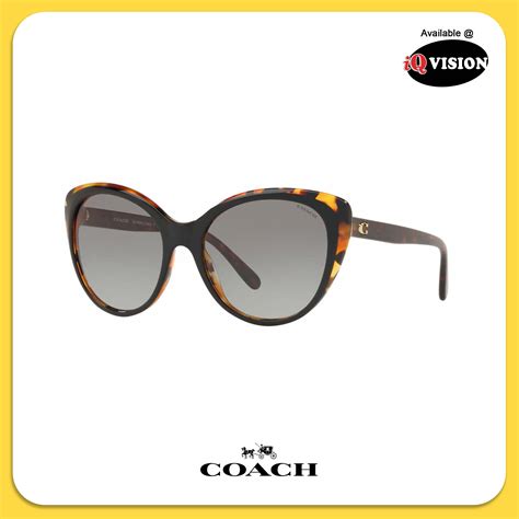 cheap prescription sunglasses coach|buy coach sunglasses online.